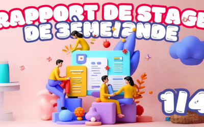 Rapport de stage de 3ème/2nde : anticiper la rédaction 1/4