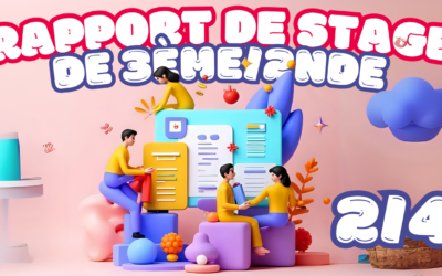 Rapport de stage de 3ème/2nde : la structure du rapport 2/4