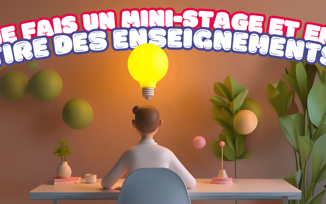 Je fais un mini-stage et en tire des enseignements