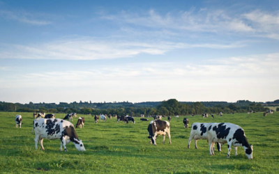 Kit pédagogique : découvrir les métiers de la filière laitière 